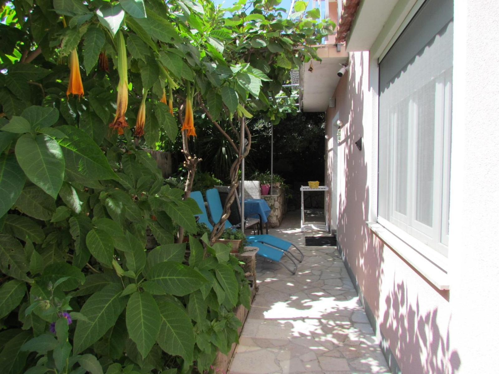 Apartments Bura & Jugo, Cres, Without Stress Kültér fotó